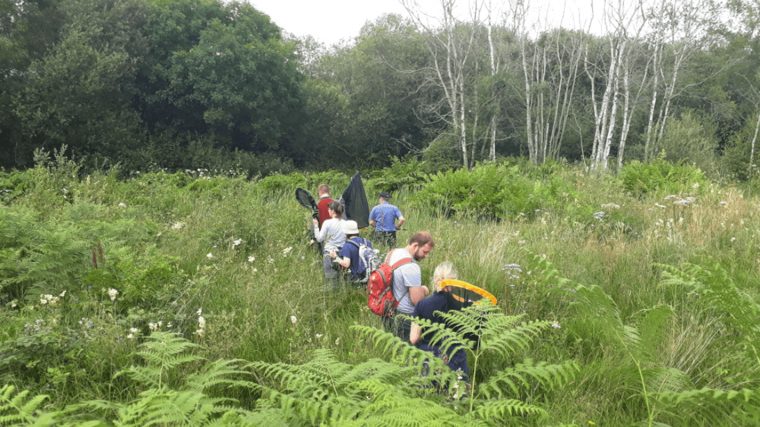 A group of people taking part in a damselfly identification workshop