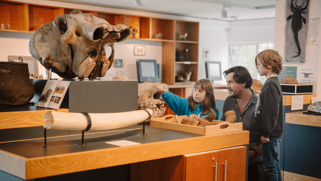 a  man and two children looking at objects in discover nature