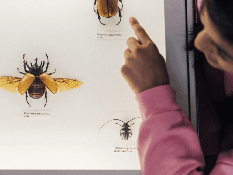 Girl pointing at Beetle, Ulster Museum